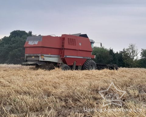 Massey Ferguson 38 Combines